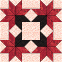 JacksonStar
