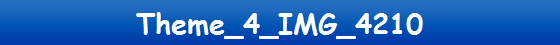 Theme_4_IMG_4210